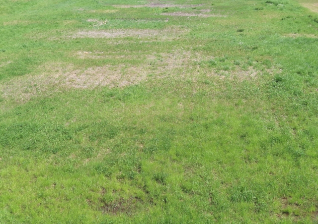 固定資産税の負担を資産に！田舎の土地活用法と法律の注意点